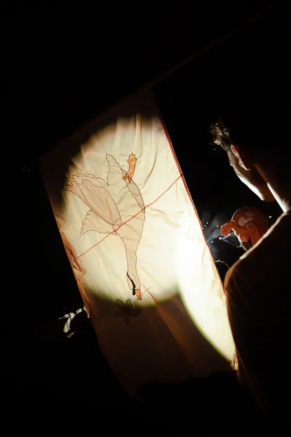 Performance de closing du Belfield Festival 2026, silhouette derrière un voile éclairé